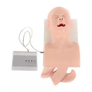 YUASDUU 삽관 마니킨 연구 교육 모델 PVC 성인 트레이너 키트 기관 시뮬레이터 구강 비강 기도 관리 과학