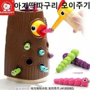 아기딱따구리 사교성 애착 모이주기 아기새 돌보기efg874