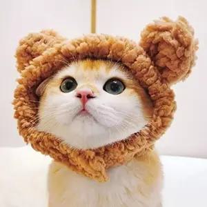 [셀러허브 생활리빙]귀여운 고양이 반려견털모자 겨울 뽀글이 털모자 (51818844)