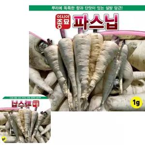 마이한 단맛나는 설탕당근 씨앗 뿌리 종자 파스닙종자