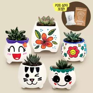 만들기대장-다육식물 화분 꾸며만들기