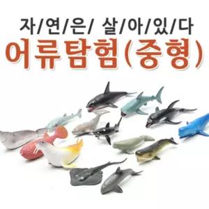 이종욱완구 자연은살아있다 어류탐험 (중형)피규어 동물모형 피어 장난감 인형 교구