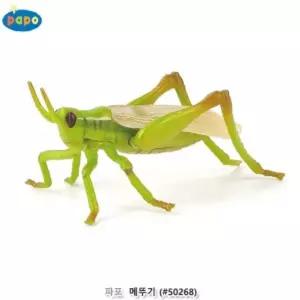 파포 (모형완구) 메뚜기 (50268) 곤충 학습용 교육용 장난감 어린이