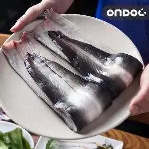 [온도씨]고창 풍천 민물장어 1kg 2마리(2-3인분)