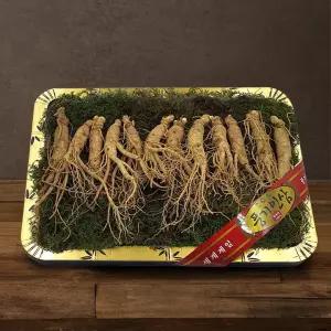 5년근 수삼 1채 750g (10-15뿌리/등바구니)