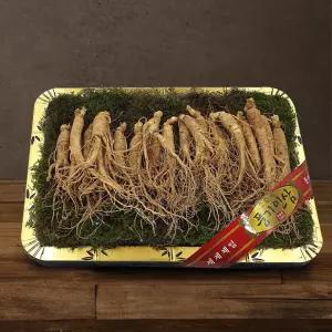 5년근 수삼 1채 750g (20-25뿌리/등바구니)