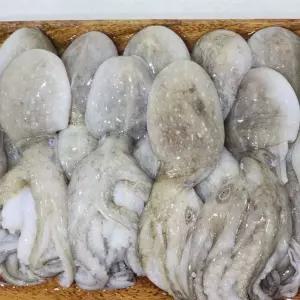 냉동 쭈꾸미 3kg [BSU68318]