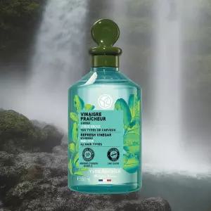 이브로쉐 린스 모링가 리프레시 헤어식초 150ml 1개