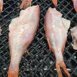 손질 반건조 열기 볼락 1kg(10마리) 냉동열기 소분포장 캐나다산 두절적어