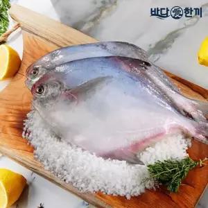 [미리주문]바다애한끼 국내산 손질병어 300g(2미) 6팩