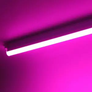 JS 칼라 LED T5 보라색 5w 10w 15w 20w 플리커프리 간접등 라인조명 게임방 PC방 플스방 카페 조명