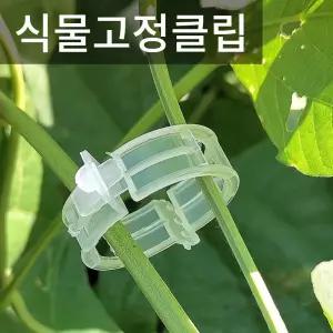식물 지지대 고정클립 식물타이 원예용 100P/분재용/철사/넝쿨/고정끈/화분/나무/고정/클립/고추/조경용끈
