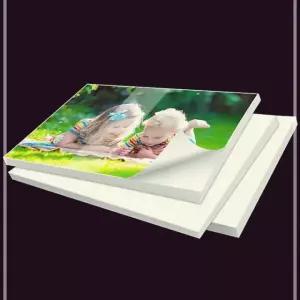 스티커 인화지 잉크젯용 포토용지 A4 A5 광택 150g 사진출력 용지 20WE8CC605