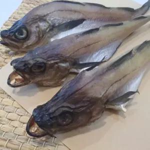 생활 코다리 생선 1마리 반건조코다리 반건조생선 건어물 서치53