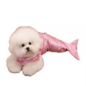 고양이 올인원 강아지 의상 옷 인어공주 수영복 촬영 물고기 코스프레 꼬리