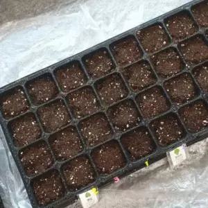 모종판트레이포트 32구 텃밭상자 텃밭가꾸기 고추모종판