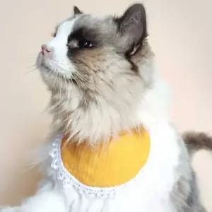 고양이 반려 묘 액세서리 턱받이 케이프 코디 애견 고양이스카프