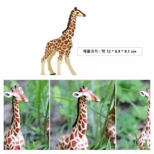 [제이큐]아기 기린장난감 리얼피규어 3D피규어 실물피규어 피큐어 어린이피