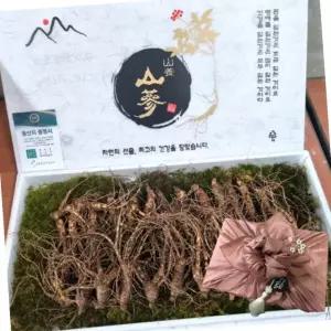 장뇌삼 2등급 중 10뿌리 7-8년근 식자재