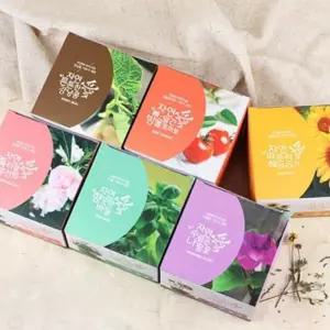(다올)미니식물 화분 - 자연애 마이가든으로 사랑스러운 식물 기르기