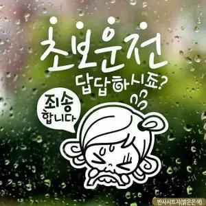 [제이큐]초보답답 초보운전 반사시트지 자동차스티커 초순이 문구/사무용품