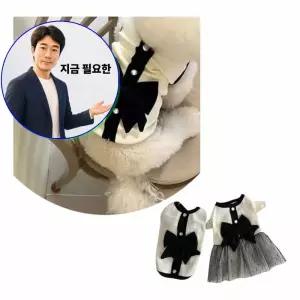 지금 필요한 원피스 리본 커플룩 나사 애견 스커트 강아 고양이 반려견