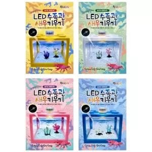 LED 수족관 새우키우기 랜덤