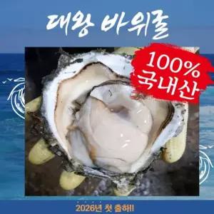 신선배송 바다의 우유 통영, 거제 대왕 바위굴 첫 출하! 크리미한 우유맛 하프 아닌 통 바위굴
