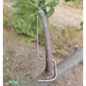 사과나무 고정기 나뭇가지 농업용 과일나무 나무가지 개선형 가지유인 지주대 농기구