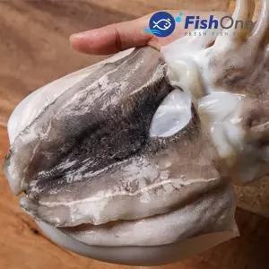 [피시원] 이력추적 국산 손질 갑오징어(특) 3kg(7-10미)냉동