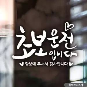 [골드스마일]캘리 화이트 초보운전 차량용스티커 운전초보 자동차레터링 스티커