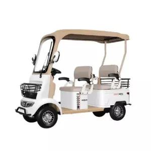 4륜 전동카트 골프카트 4인용 전동차 골프카 노인 전동스쿠터 캐디카 800W 60V