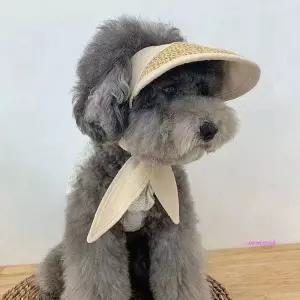 반려견 강아지 반려묘 모자 애견 고양이 썬캡 여름 유치원 외출zab629
