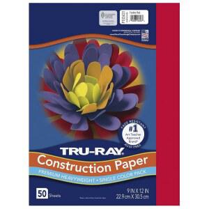 PACON - 103031 파콘 TRU RAY 103431 종이 50매 12 중량