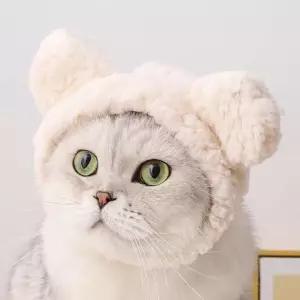 고양이모자 강아지모자 반려견 반려묘 귀여운 털모자