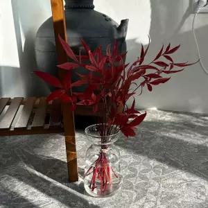 유리화분 화병 미니-성배잔 10x15cm 예쁜 디자인 인테리어 원예용품 꽃병 홈인테리어 소품
