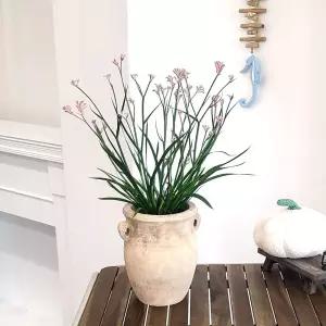 테라원 빈티지 아쿠아 토분 KV51 귀걸이 물병 23x26cm 장식화분 디자인 실내 식물 인테리어 소품 정화분 꾸