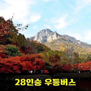 내장산 내장사 단풍산행 안내산악회