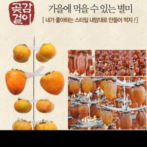 프리미엄곶감걸이100개용 국내산 꽂감메이커 곶감 곶감걸이 건조기 꼭지핀 곶감제조