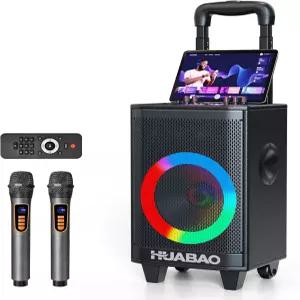 무선 마이크 2개 조명이 있는 블루투스 스피커와 트롤리 바퀴 6600mAh 충전식 PA 시스템 FM/AUX/USB/TF