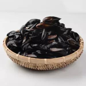 청정 통영바다 탱글탱글 홍합 5kg