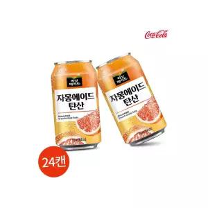 미닛메이드 자몽 에이드 탄산 355ml 24캔 카페용
