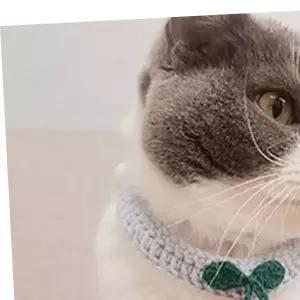 PET 강아지 고양이 고양이턱받이 뜨개 케이프 체리 스카프 고양이패션템
