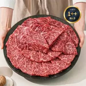 미쓰하누 1++NO.9등급 한우 눈꽃 로스구이모듬 600g (냉장) 구이모듬 한판 1014433