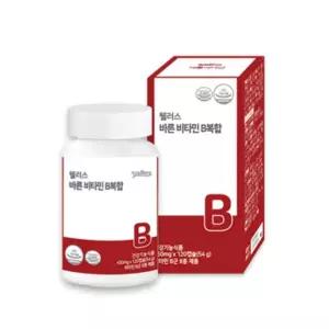 웰러스 바른 비타민 B복합 450mg x 120캡슐