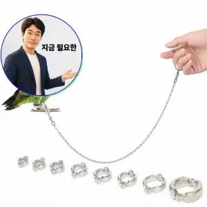 지금 필요한 발목링 앵무새 산책 비둘기 훈련용품