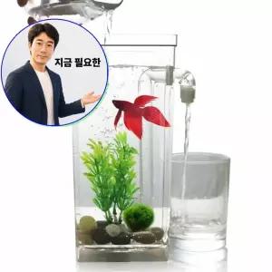 지금 필요한 어항물갈이 키우기 물멍 베타 자동 구피 청소 금붕어 해수어