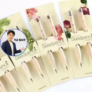 지금 필요한 2개입 꿈쟁이 씨앗연필 씨앗심기 _재미있는 화분 몽당