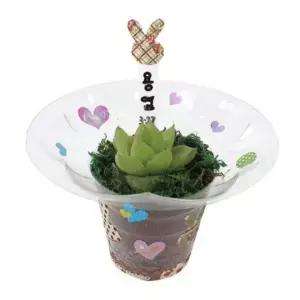 [콩심팥심]식물 화분 DIY 재료 다육 식물 토분 만들기 세트