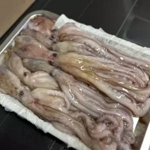 맛상 급냉 낙지 1kg